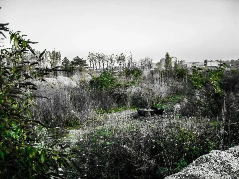 Un paysage urbain en friche, avec de la végétation sauvage et des bâtiments en arrière-plan.