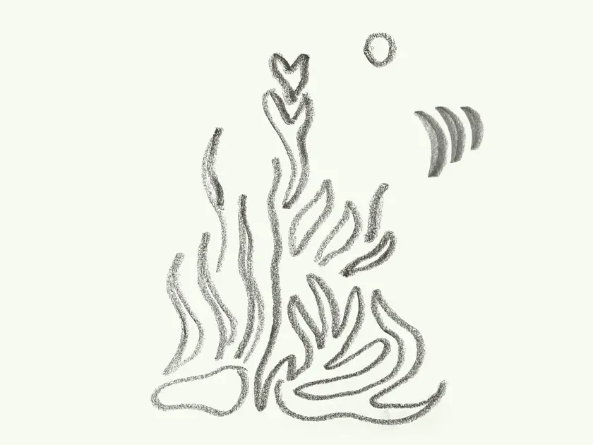 Dessin abstrait de lignes ondulées évoquant des formes organiques et naturelles.