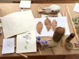 Une table de travail avec des croquis, des feuilles séchées, un crâne d'animal, et divers outils artistiques.
