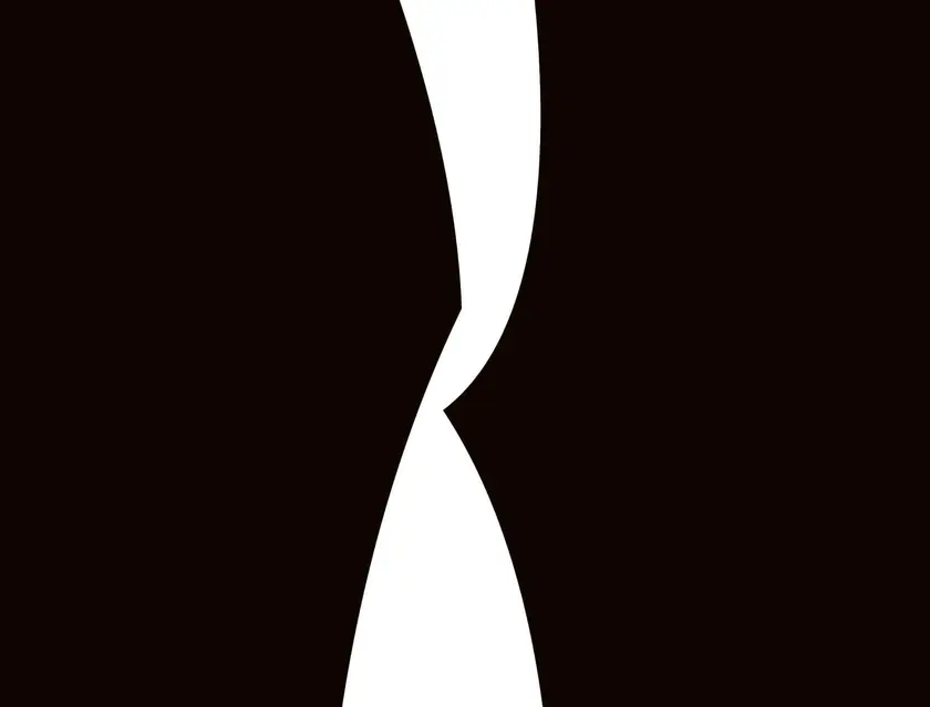Deux formes abstraites en noir et blanc se rejoignant au centre.