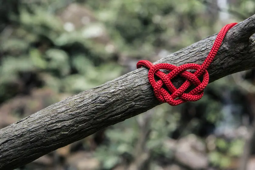 Un nœud en corde rouge en forme de cœur, fixé sur une branche d'arbre.
