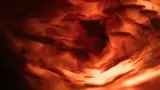Texture abstraite aux nuances de rouge et orange, évoquant des formes organiques.